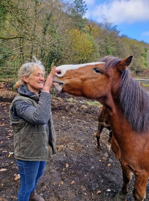 Coeden Bywyd Horse Project