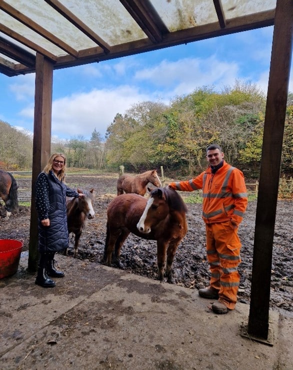 Coeden Bywyd Horse Project
